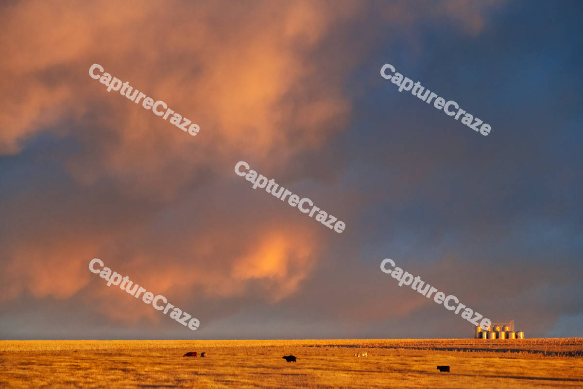 An Orange sunset from a farm view